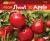 From Shoot to Apple