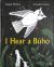 I Hear a Búho