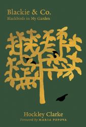 Blackie and Co : Blackbirds in My Garden