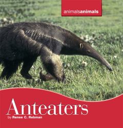 Anteaters