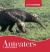 Anteaters