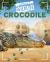Crocodile Crocodile