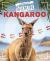 Kangaroo Kangaroo