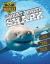Great White Shark Great White Shark