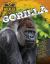 Gorilla Gorilla