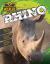Rhino Rhino