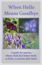 When Hello Means Goodbye : A Guide for Parents Whose Child Dies Before Birth, at Birth or Shortly after Birth