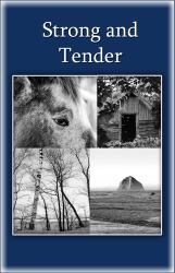Strong and Tender : A Guide for the Father Whose Baby Has Died