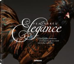 Feathered Elegance : A Photographic Celebration of Chickens