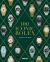 100 Iconic Rolex