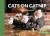Cats on Catnip : 20 Postcards