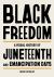 Black Freedom : A Visual History of Juneteenth and Emancipation Days