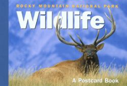 Rocky Mountain Trout Flies : A Postcard Book