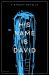 His Name Is David : Book 2