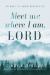 Meet Me Where I Am, Lord : 90 Days to Know Him Deeper