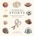 Our Big Book of Sports : A Collection of 100+ Foundational Words for Future Athletes