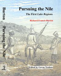 Mental Health Strategies for Difficult Times : Stress-Relieving Techniques, Stopping Negative Spirals, Decluttering Your Mind, and Focusing on the Present