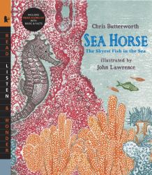 Sea Horse : The Shyest Fish in the Sea