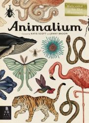 Animalium : Welcome to the Museum