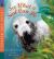 See What a Seal Can Do : Read and Wonder