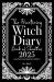 The Practicing Witch Diary - Book of Shadows 2025 - Southern Hemisphere