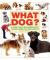 What Dog? : A Guide to Help New Owners Select the Right Breed for Their Lifestyle