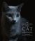 The Elegance of the Cat : An Illustrated History