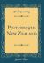 Picturesque New Zealand (Classic Reprint) Picturesque New Zealand (Classic Reprint)
