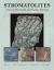 Stromatolites : Ancient, Beautiful, and Earth-Altering