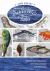 Saltwater Tales : Offshore, Bay, and Surf Fishing Adventures with Proven Tips and Techniques for the Saltwater Angler