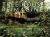 Tree Houses Reimagined : Luxurious Retreats for Tranquility and Play