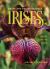 Dwarf and Median Bearded Irises : Jewels of the Iris World