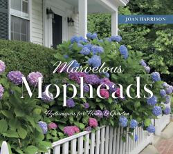 Marvelous Mopheads : Hydrangeas for Home and Garden