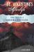 St. Augustine's Afterlife : True Tales of a Paranormal Investigator