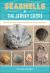 Seashells of the Jersey Shore : Identify and Learn about the Shells You Find on the Beach Seashells of the Jersey Shore : Identify and Learn about the Shells You Find on the Beach