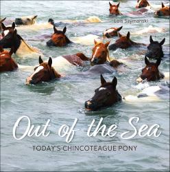 Out of the Sea : Today's Chincoteague Pony (2nd Edition)