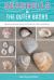 Seashells of the Outer Banks : Identify and Learn about the Shells You Find on the Beach Seashells of the Outer Banks : Identify and Learn about the Shells You Find on the Beach