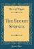 The Secret Springs (Classic Reprint)