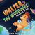 Walter the Woogobee : The Vortex to Vidza