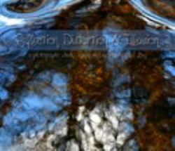 Reflection, Distortion and Illusion