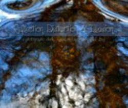 Reflection, Distortion and Illusion