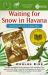 Waiting for Snow in Havana : Confessions of a Cuban Boy