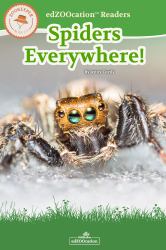 Spiders