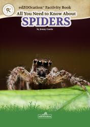 All You Need to Know about Spiders
