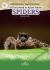 All You Need to Know about Spiders All You Need to Know about Spiders
