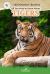 All You Need to Know about Tigers All You Need to Know about Tigers