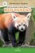 All You Need to Know about Red Pandas All You Need to Know about Red Pandas