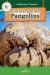 All You Need to Know about Pangolins All You Need to Know about Pangolins