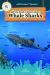 All You Need to Know about Whale Sharks All You Need to Know about Whale Sharks
