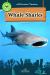 Whale Shark Whale Shark